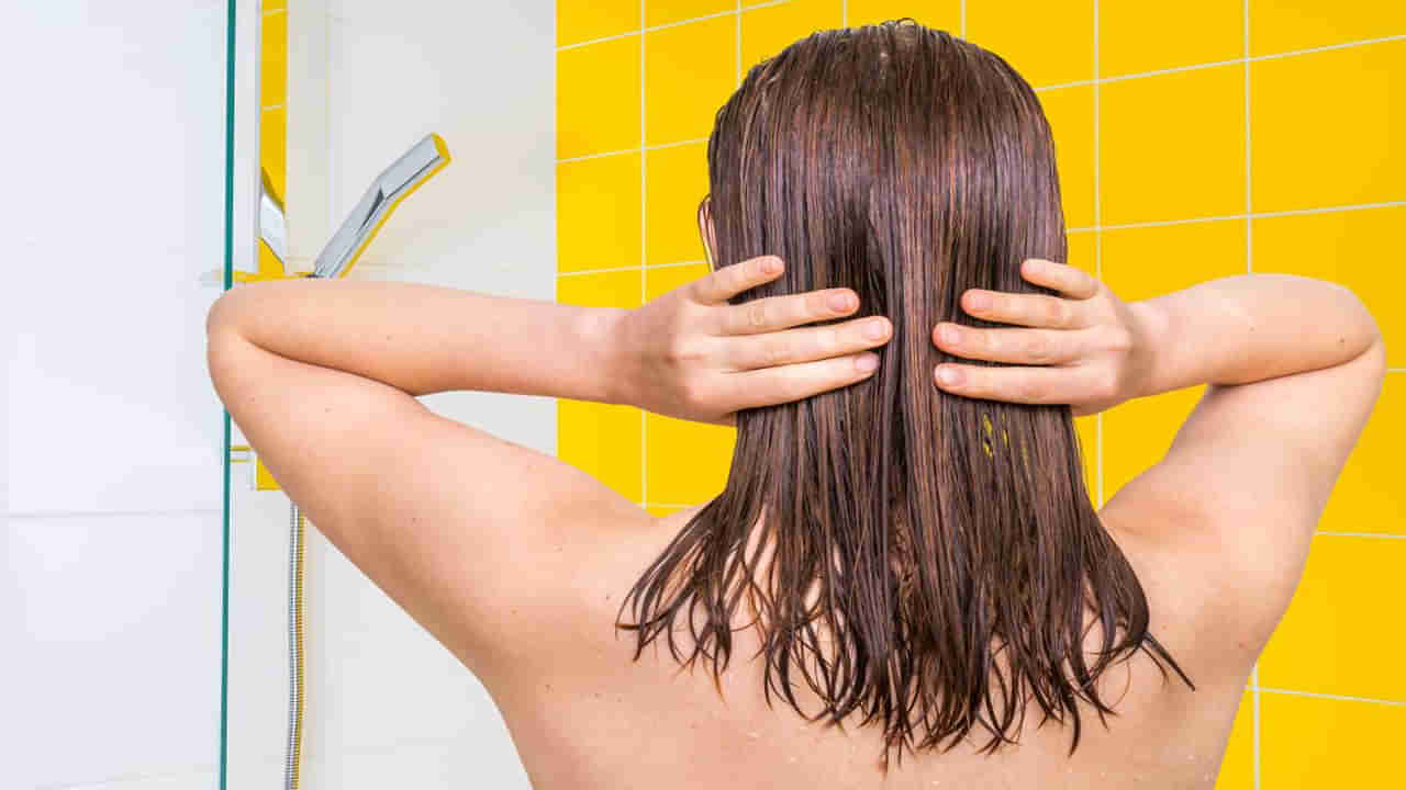 Hair Care Tips: చలికాలంలో వేడి నీళ్లతో తలస్నానం చేస్తున్నారా.. మీ జుట్టు పొడిబారుతుంది.. ఈ 3 చిట్కాలతో ఆ సమస్యకు చెక్ పెట్టండి