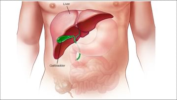 Health Tips: కాలేయం శుభ్రంగా ఉండాలంటే.. మీ డైట్‌లో ఈ పదార్థాలను జోడించండి..