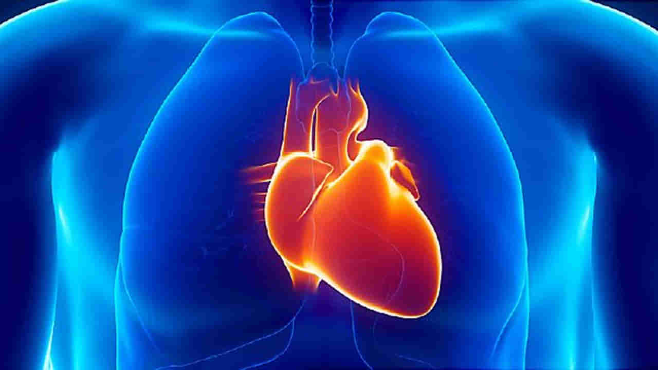 Heart Stroke: గుండెపోటుతో ఉద్యోగ జీవితం గాడి తప్పిందా? ఈ టిప్స్‌తో మునుపటికంటే మెరుగ్గా..