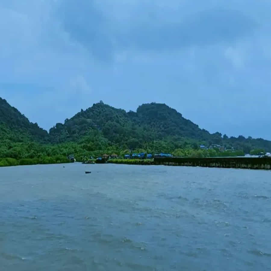 ముంబైకి వెళ్లినప్పుడు ఎలిఫెంటా ద్వీపాన్ని సందర్శించడం మర్చిపోవద్దు. ఇది ముంబై హార్బర్ లోని ఈశాన్య దిశలో ఉంది. పురాతన భారతీయ అందాల దృష్ట్యా, యునెస్కో ఈ రాక్-కట్ అద్భుతాలను ప్రపంచ వారసత్వ ప్రదేశాల జాబితాలో చేర్చింది.