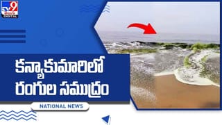 కాకినాడలో వింత గొర్రె పిల్ల.. చూసేందుకు బారులు తీరిన జనం..