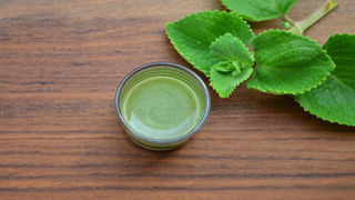 ఉదయం టీకి బదులుగా సొరకాయ రసం ట్రై చేయండి.. ఆరోగ్య ప్రయోజనాలు పుష్కలం..