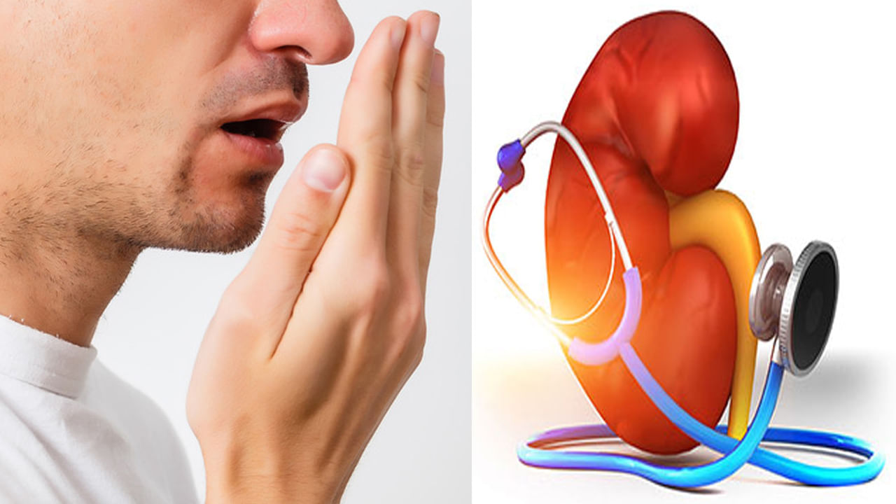 Kidney Disease: కిడ్నీ వ్యాధులకు, నోటి దుర్వాసనకు సంబంధం ఏంటి.? నిపుణులు ఏమంటున్నారంటే..