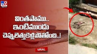 ఒంటినిండా రోమాలు.. తోడేలులా యువకుడు !! భయపడుతున్న జనం..