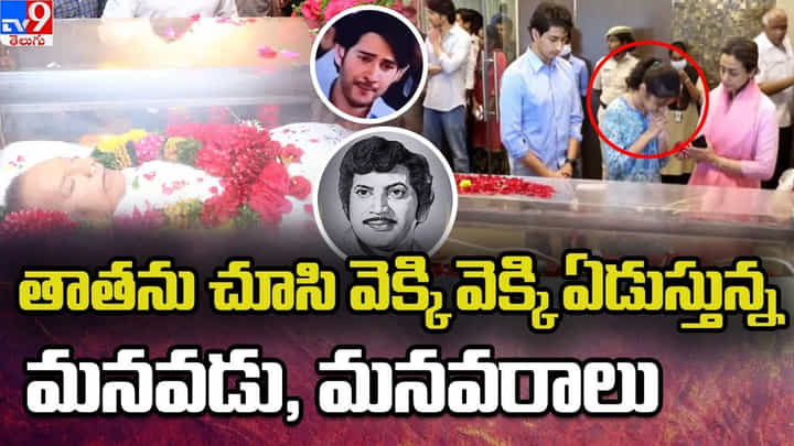 Krishna Death: తాతయ్యను చూసి తల్లడిల్లిన సితార, గౌతమ్..(Video) Krishna Death: తాతయ్యను చూసి తల్లడిల్లిన సితార, గౌతమ్..(Video)