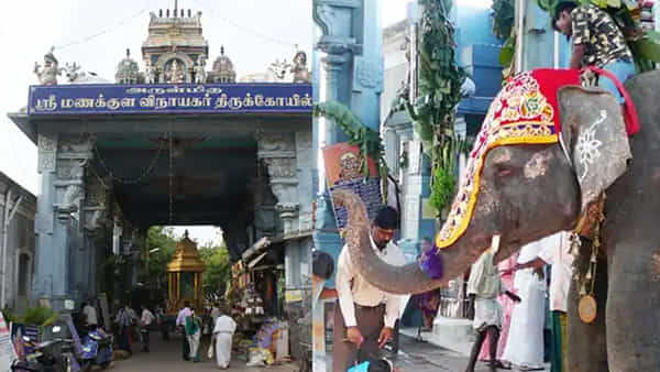 మనుషులకే కాదు, జంతువుల్లోనూ గుండెపోటు మరణాలు.. వాకింగ్ చేస్తూ కుప్పకూలిన ఆలయ ఏనుగు