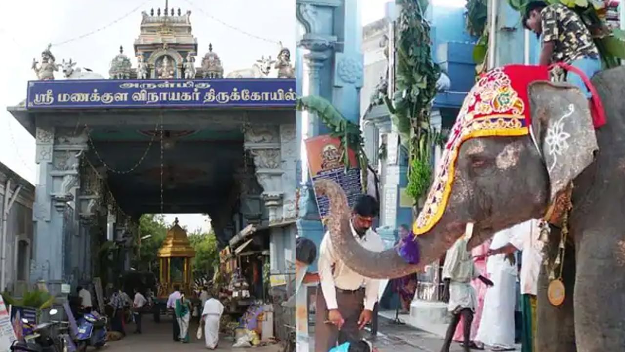 మనుషులకే కాదు, జంతువుల్లోనూ గుండెపోటు మరణాలు.. వాకింగ్‌ చేస్తూ కుప్పకూలిన ఆలయ ఏనుగు