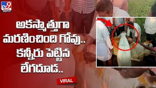 మనిషిపై గాడిద సవారీ.. ఇట్స్‌ పాకిస్థాన్‌ స్టైల్‌ గురూ !!