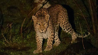 Minister Malla Reddy: విచారణకు రావాలంటూ మంత్రి మల్లారెడ్డికి ఐటీ సమన్లు.. సీజ్ చేసిన నగదు ఎంతంటే..?