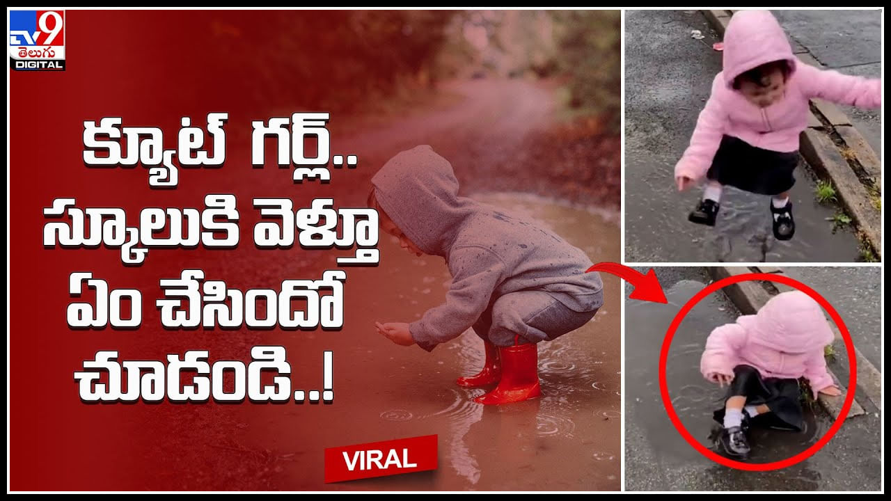 Little girl Cute Video: హో సో క్యూట్‌ గర్ల్‌.. స్కూలుకి వెళ్తూ ఏం చేసిందో చూడండి..! వీడియో అంటే ఇది..