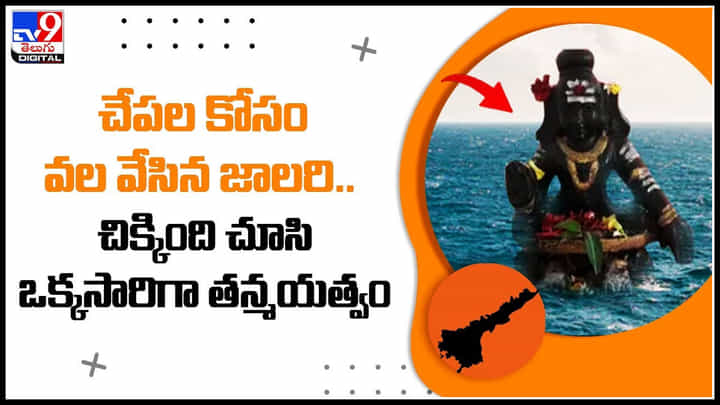 AP news: చేపల కోసం వల వేసిన జాలరి.. చిక్కింది చూసి ఒక్కసారిగా తన్మయత్వం.. వీడియో. AP news: చేపల కోసం వల వేసిన జాలరి.. చిక్కింది చూసి ఒక్కసారిగా తన్మయత్వం.. వీడియో.
