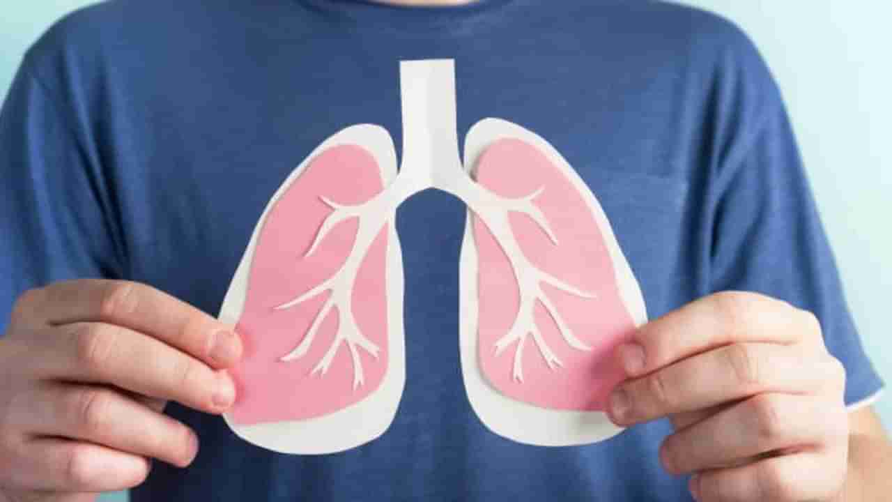 Healthy Lungs: మీ ఊపిరితిత్తులకు కొత్త ఊపిరినివ్వండి.. చలికాలంలో ఈ సూపర్ ఫుడ్స్ తీసుకుంటే..