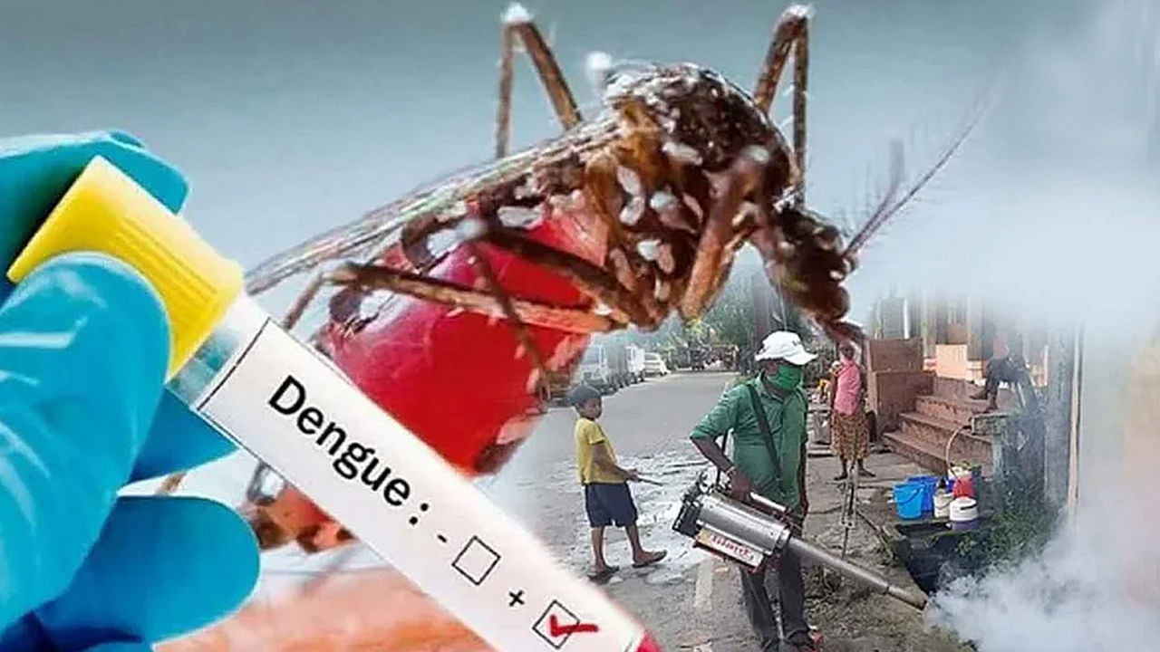 New Variant of Dengue: జ్వరం తగ్గిన తర్వాత ప్లేట్‌లెట్స్ ఒక్కసారిగా పడిపోయాయా? భయపెడుతున్న డెంగ్యూ కొత్త వేరియంట్‌