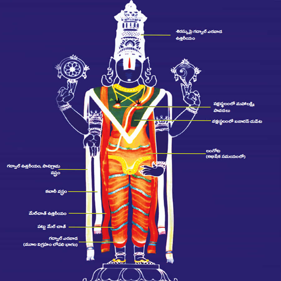 శ్రీవారి గురువారం నిజరూపంలో భాగంగా ఆభరణాలకు బదులు 24/ 4 కొలతలు గల పట్టుధోవతి ధరింపచేస్తారు. 12/ 2 కొలతలతో పట్టు ఉత్తరీయాన్ని యజ్ఞోపవీతంగా అలంకరిస్తారు. స్వామివారి శిరస్సుపై కిరీటాన్ని తీసి ఒక పట్టువస్త్రాన్ని కిరీటం తరహాలో తలపాగాను చుడతారు.
