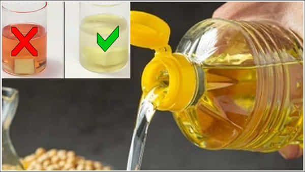 Oil Purify Test: మీ వంట నూనెలో కల్తీ ఉందా..? ఈ సింపుల్ ప్రయోగంతో తెలుసుకోండి