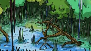 Sania Mirza-Shoaib Malik: సానియా, షోయబ్ విడాకుల విషయంలో ఫుల్ క్లారిటీ.. ఇది మాత్రం అస్సలు ఊహించలేదు