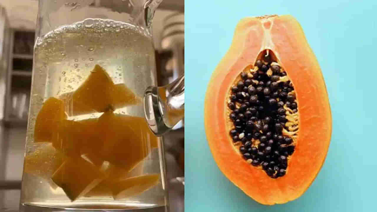 Papaya Water: ఆ సమస్యలతో బాధపడుతున్నారా..? అయితే, బొప్పాయి నీళ్లను ట్రై చేయండి.. వెంటనే పరిష్కారం..