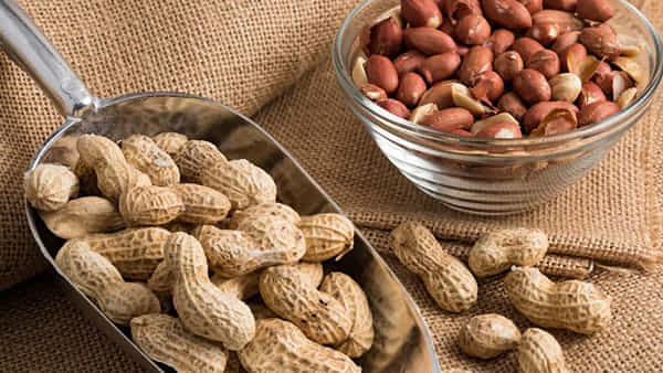 Healt Tips: ఈ 3 వ్యాధులవారికి వేరుశెనగ విషంలా పనిచేస్తుంది.. ఇది ఆరోగ్యానికి ఎలా హాని చేస్తుందో తెలుసా..