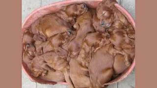 Knowledge: మెట్రో రైలు ట్రాక్‌పై రాళ్లు ఎందుకు ఉండవు.? దీని వెనకాల ఉన్న అసలు కారణం ఏంటంటే..