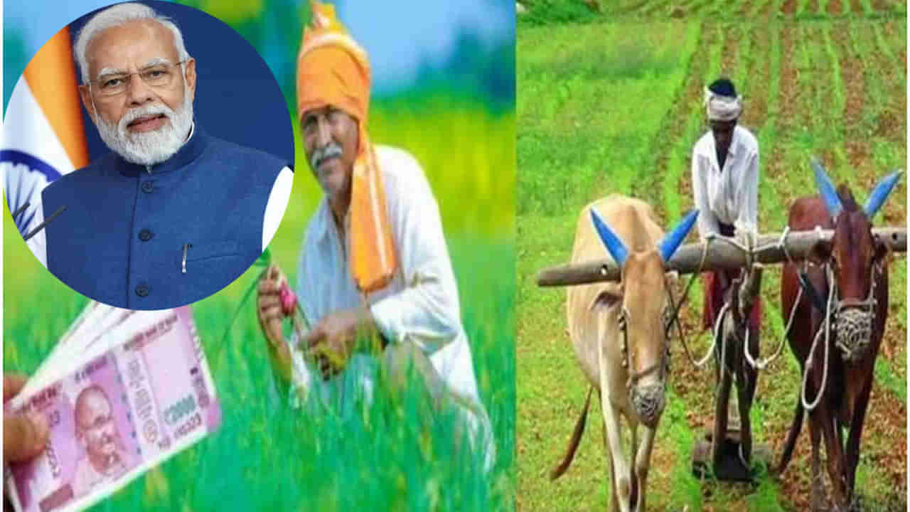 PM Kisan: నవంబర్‌ 30 నాటికి రైతుల ఖాతాల్లో పీఎం కిసాన్‌ డబ్బులు.. రాకపోతే ఇలా ఫిర్యాదు చేయండి