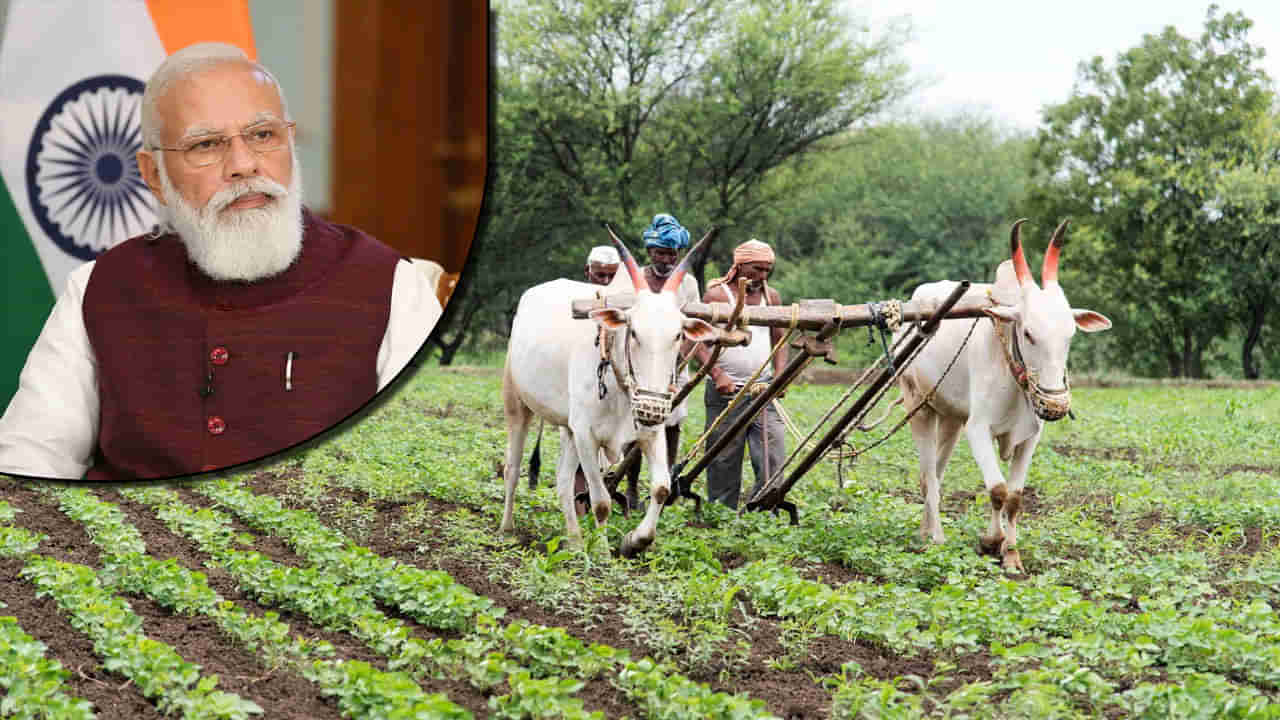 PM Kisan Update: 13వ విడతకు ముందు పీఎం కిసాన్‌లో భారీ మార్పులు.. ఇవి చేయకుంటే డబ్బులు రావు.. అవేంటంటే..