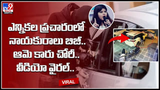 King Cobra: హడలెత్తించిన కింగ్ కోబ్రా.. దాని పొడవు చూస్తే గుండెలదిరిపోవాల్సిందే..! వైరల్ వీడియో.