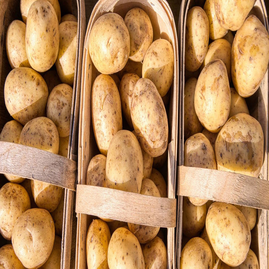 మీరు బరువు తగ్గాలనుకుంటే, బంగాళదుంపలు తినవద్దు. గుండె జబ్బులు ఉన్నవారు బంగాళదుంపలు తినకూడదు. కిడ్నీ సమస్యలు ఉన్నవారు బంగాళదుంపలు తినకూడదు.