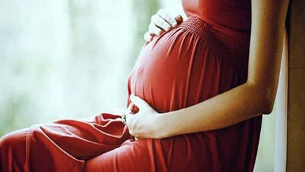 Pregnant Diet Tips: గర్భిణులు శీతాకాలంలో ఇవి తిన్నారంటే ఆరోగ్యకరమైన శిశువు జననం...అస్సలు స్కిప్ చేయకుండా చదవాల్సిందే..