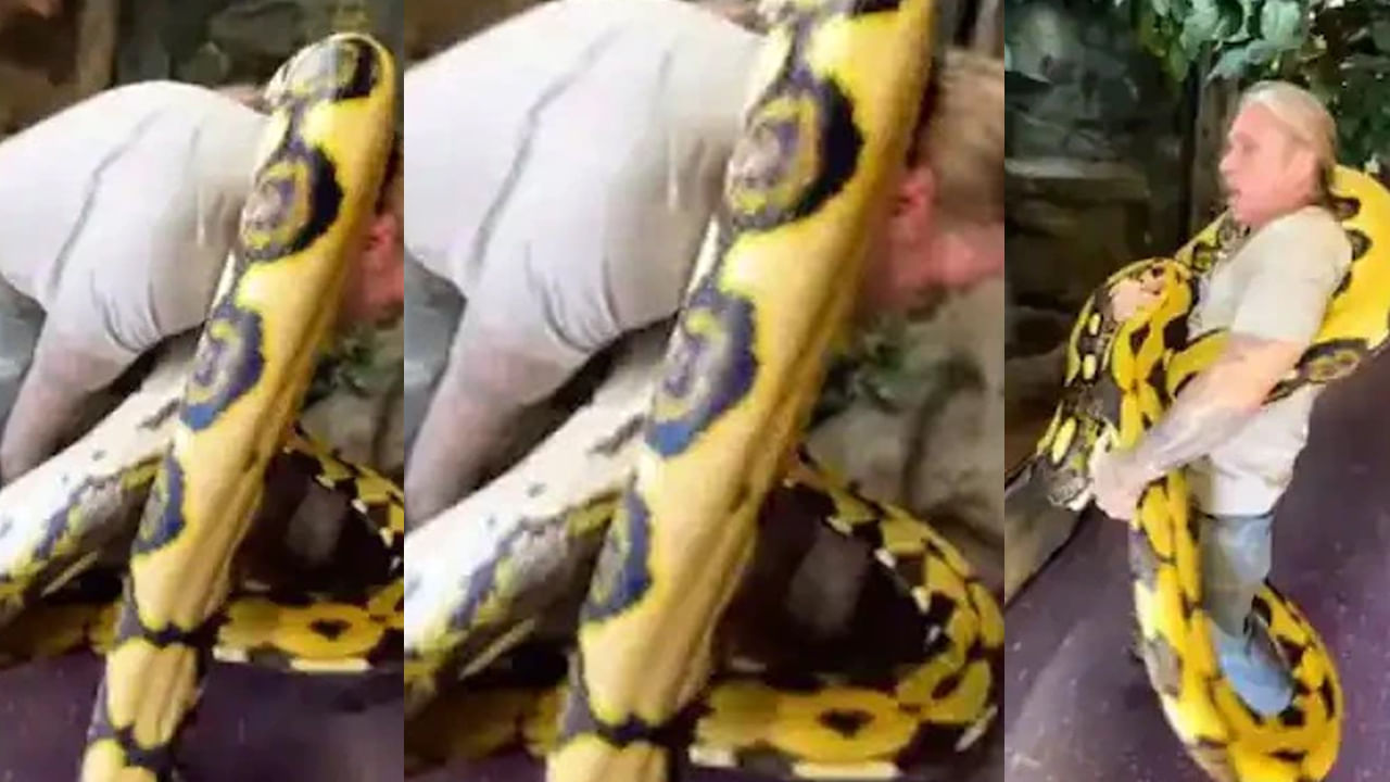 Watch Video: వామ్మో! 20 అడుగుల పైథాన్తో పరాచకాలేంట్రా పిల్ల బచ్చా ...