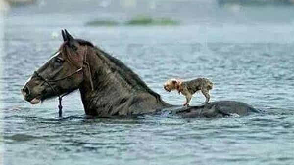 Success Mantra: జీవితంలో ఎవరికైనా సాయం చేయాలంటే ముందు ఉండాల్సింది డబ్బుకాదు..సాయం చెసే మనసు..