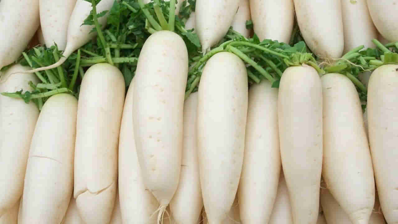 Radish Side Effects: ముల్లంగి అంత మంచిది కాదట.. వాటితో పాటు కలిపి తింటే ఇక అంతే