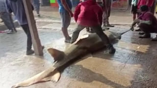 Indian Railways: రైల్వే ప్రయాణికులకు గుడ్‌ న్యూస్‌.. జనరల్‌ టికెట్లు ఇక మరింత సులభంగా. పూర్తి వివరాలివే..