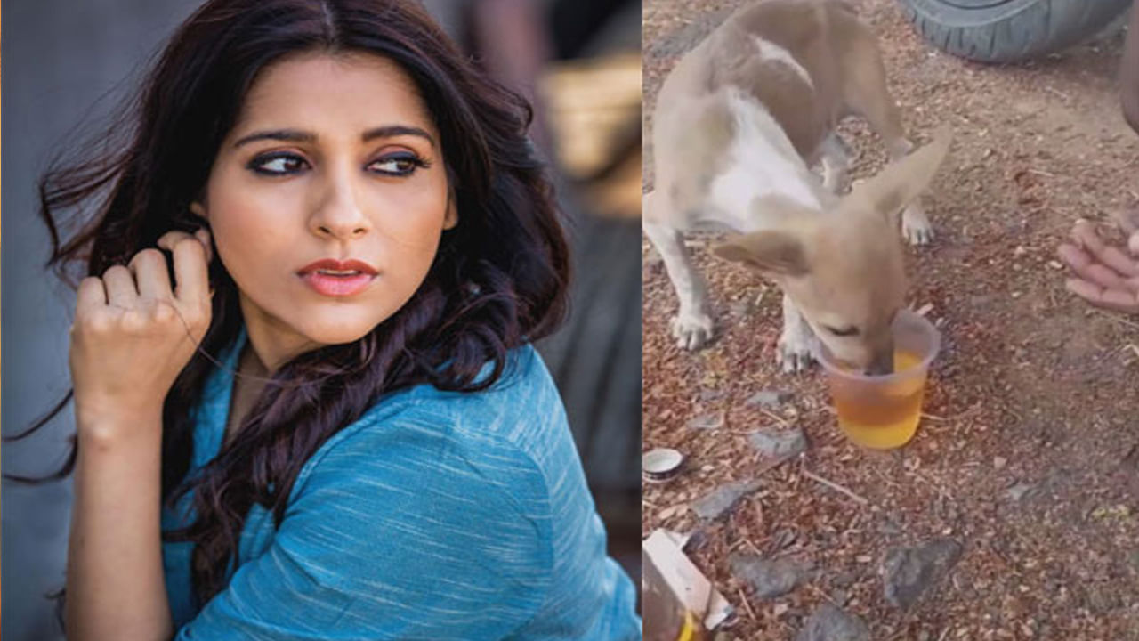 Rashmi Gautam: కుక్కపిల్లకు మద్యం తాగించిన యువకులు.. ఆగ్రహం వ్యక్తం చేసిన స్టార్‌ యాంకర్‌