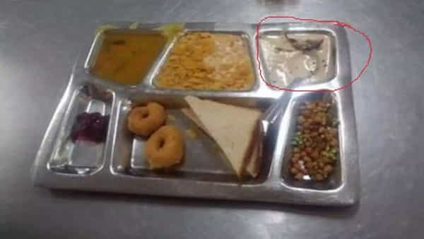 Chandigarh: లవ్లీ యూనివర్సిటీ మెస్లో దారుణం.. మండిపడుతున్న విద్యార్థులు, తల్లిదండ్రులు..