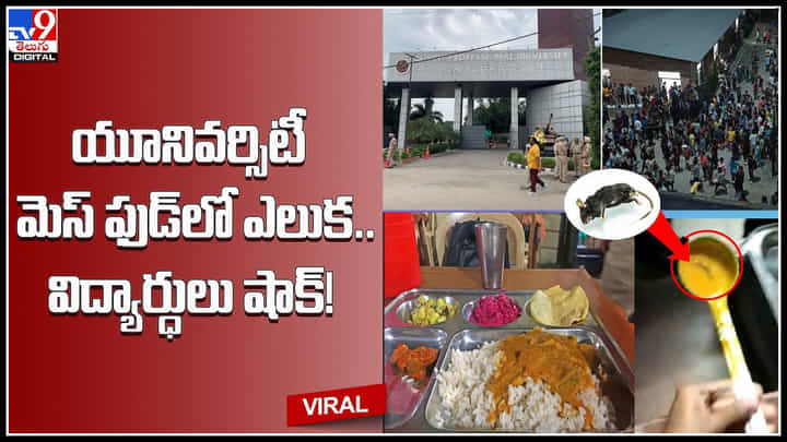 Rat In Food: లవ్లీ యూనివర్శిటీ మెస్లో దారుణం.. విద్యార్ధులు తినే భోజనంలో ఎలుక.లైట్ తీసుకోండి అన్న యాజమాన్యం.. Rat In Food: లవ్లీ యూనివర్శిటీ మెస్లో దారుణం.. విద్యార్ధులు తినే భోజనంలో ఎలుక.లైట్ తీసుకోండి అన్న యాజమాన్యం..