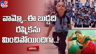 పులితోనే ఆటలాడాలనుకున్నాడు…ప్రాణాలు పోగొట్టుకున్నాడు!