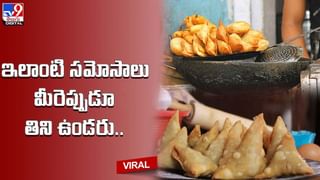 Watch Video: వ్యవసాయం చేస్తోన్న విదేశీ కోడలు.. పొలంలో ఉల్లిపాయలు నాటుతూ మురిసిపోతోన్న జర్మనీ మహిళ