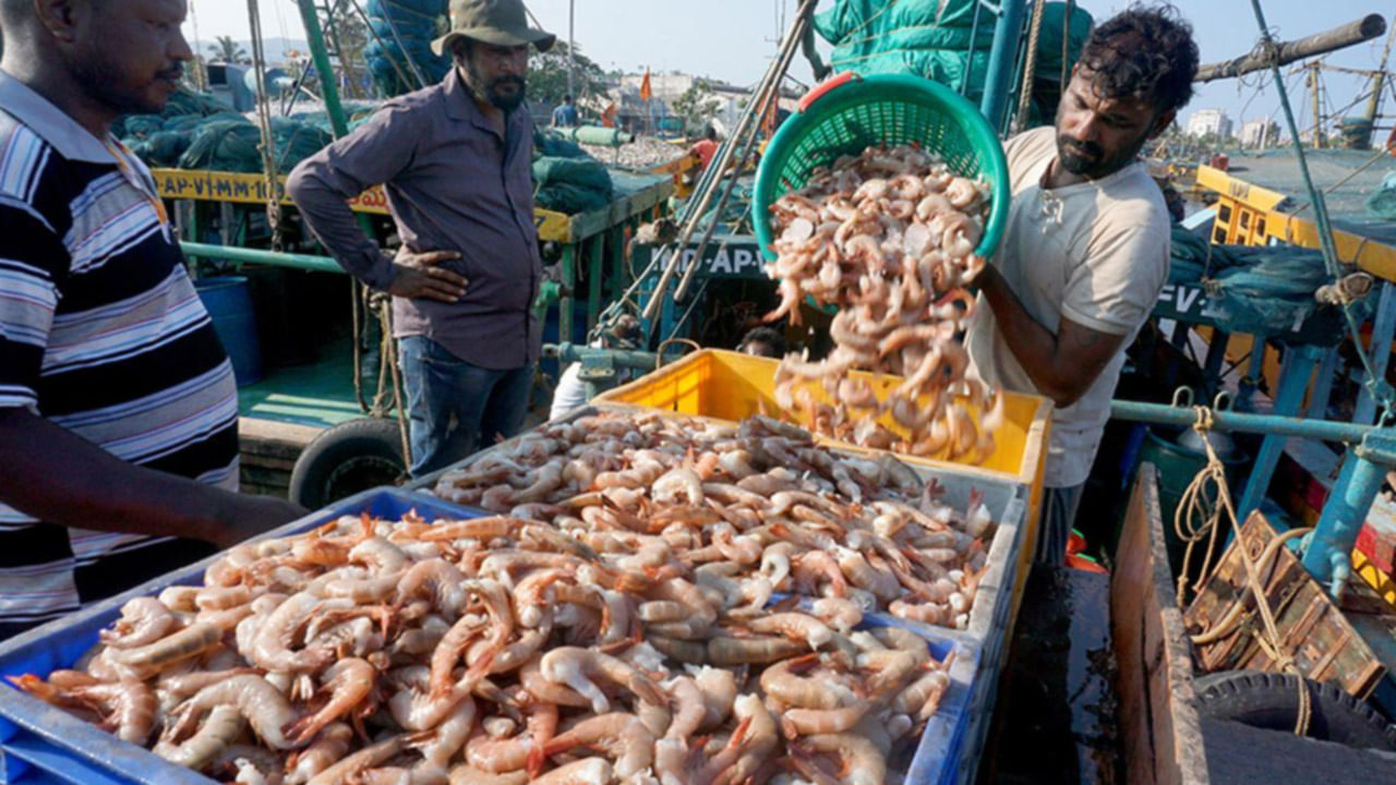Seafood Export: ఆ తప్పుడు వార్తలను ఆక్వా రైతులు నమ్మవద్దు.. రొయ్యల కొనుగోలు, ఎగుమతుల ఉంటాయి..
