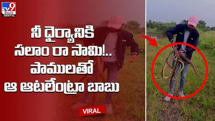 నీ ధైర్యానికి సలాం రా సామి !! పాములతో ఆ ఆటలేంట్రా బాబు !! నీ ధైర్యానికి సలాం రా సామి !! పాములతో ఆ ఆటలేంట్రా బాబు !!