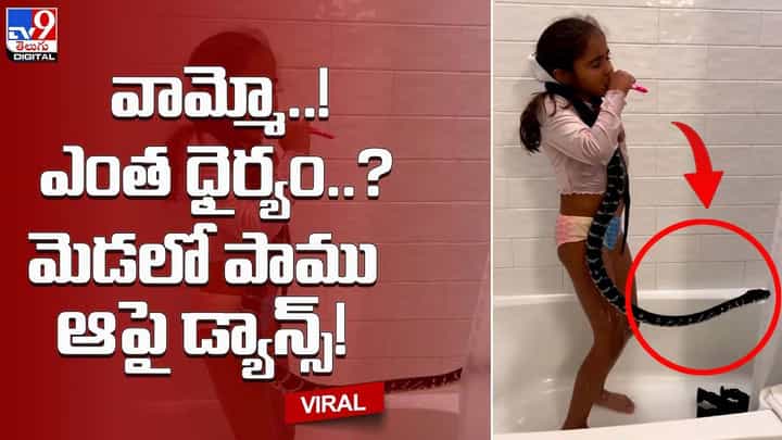 వామ్మో !! ఎంత ధైర్యం ?? మెడలో పాము ఆపై డ్యాన్స్ వామ్మో !! ఎంత ధైర్యం ?? మెడలో పాము ఆపై డ్యాన్స్