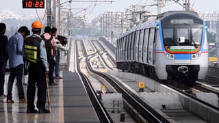 Photo puzzle: రండి లెక్క తేల్చుకుందాం.. ఇక్కడ ఎన్ని పప్పీస్ ఉన్నాయో చెప్పలగలరా..?