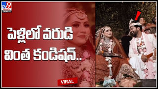 Viral Video: ఆ గున్న ఏనుగుకి అతను తెగ నచ్చేశాడట.. కింద పడేసి మరీ తెగ ముద్దులు పెట్టేసింది..