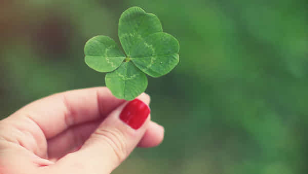 Success Mantra: కాలంతో పోటీపడి పరుగులు పెడుతున్నా ఓడిపోతున్నారా.. విజయానికి ఈ ఐదు సూత్రాలు తెలుసుకోండి..