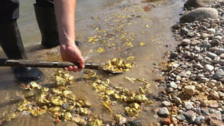 AP Rains: తీర ప్రాంతాలకు అలెర్ట్.. ఏపీలో రాబోయే మూడు రోజులు భారీ వర్షాలు.. వెదర్ రిపోర్ట్ ఇదిగో..