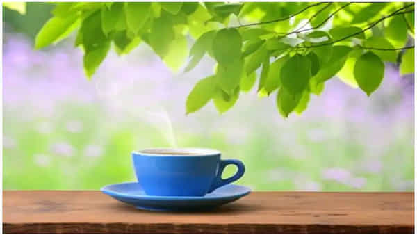 Health Tips: ఉదయాన్నే ఖాళీ కడుపుతో వీటిని అస్సలు తినకండి, తింటే మాత్రం పశ్చాత్తాపపడవలసి ఉంటుంది..