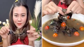 Bike Drive: ప్లీజ్‌.. నాలా ఎవరూ చేయకండి..! ఎక్స్ ప్రెస్ వేపై 310 కి.మీ. వేగంతో బైక్‌ నడిపిన రైడర్.. (వీడియో)