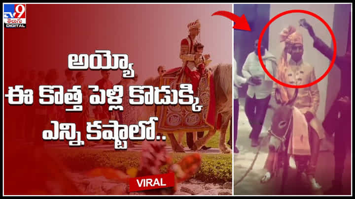 Groom Baarat: అయ్యో ఈ కొత్త పెళ్లి కొడుక్కి ఎన్ని కష్టాలో.. చివరికి గాడిదే దిక్కు.. ఫన్నీ వీడియో.. Groom Baarat: అయ్యో ఈ కొత్త పెళ్లి కొడుక్కి ఎన్ని కష్టాలో.. చివరికి గాడిదే దిక్కు.. ఫన్నీ వీడియో..