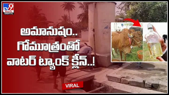 Cow Urine water tank clean: అమానుషం..వాటర్ ట్యాంక్ వద్ద నీళ్లు తాగిన దళిత మహిళ.. గోమూత్రంతో వాటర్ ట్యాంక్ క్లీన్..! Cow Urine water tank clean: అమానుషం..వాటర్ ట్యాంక్ వద్ద నీళ్లు తాగిన దళిత మహిళ.. గోమూత్రంతో వాటర్ ట్యాంక్ క్లీన్..!