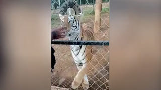 భారతీయుడి కోసం ఆస్ట్రేలియా పోలీసుల గాలింపు.. ఆచూకీ చెబితే ఏకంగా 5.21 కోట్లు.. ఇంతకీ ఏం నేరం చేశాడంటే?