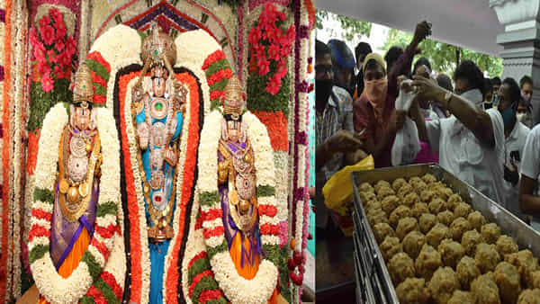 Tirumala: తిరుమలలో విషాదం .. లడ్డు క్యూలైన్ లో అకస్మాత్తుగా కుప్పకూలిన భక్తుడు..